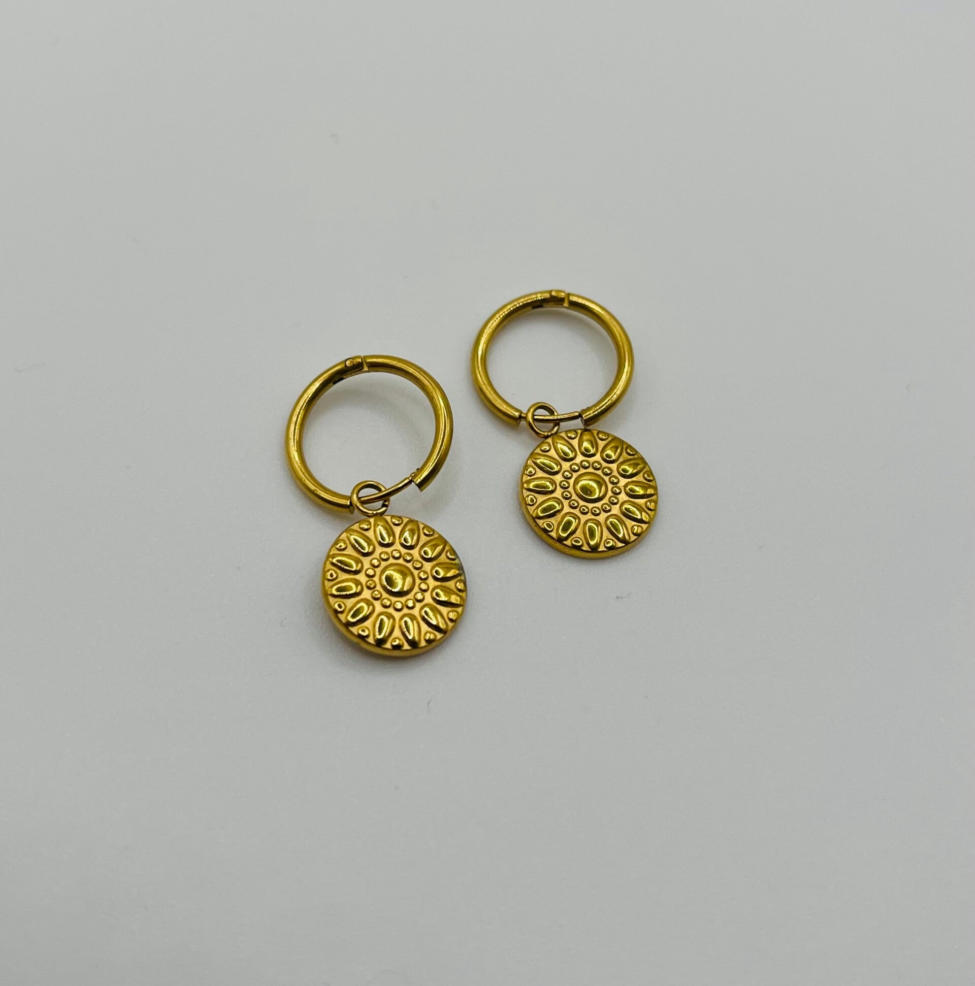 Oorbellen stainless steel 'Charlie'