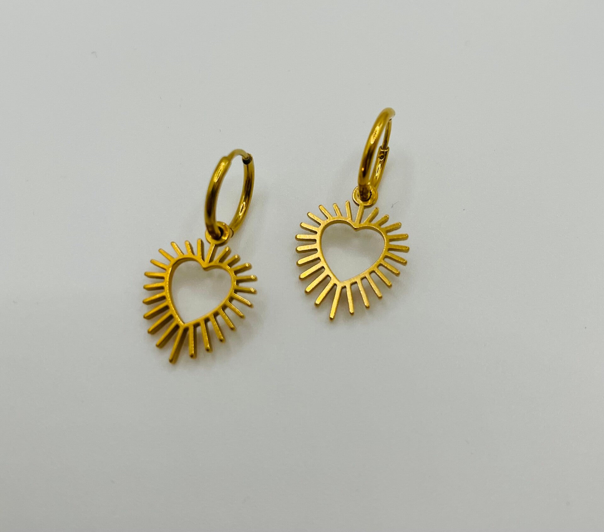 Oorbellen stainless steel 'Maaike'