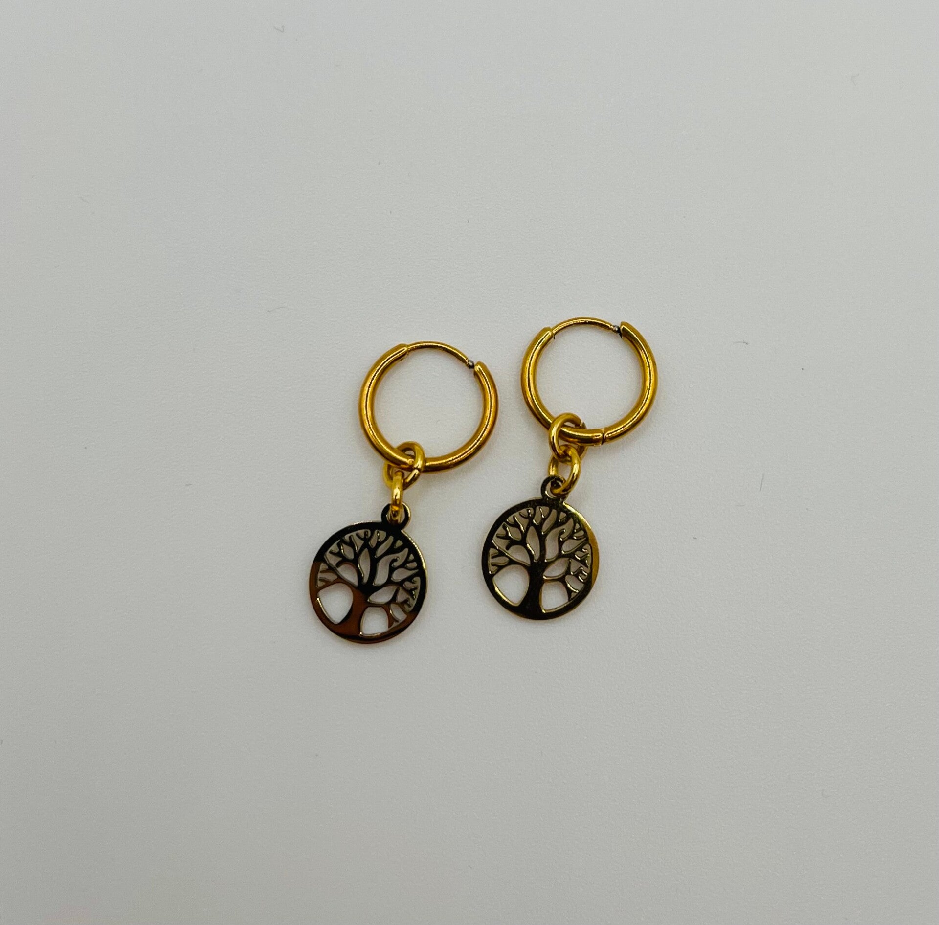 Oorbellen stainless steel 'Nala'