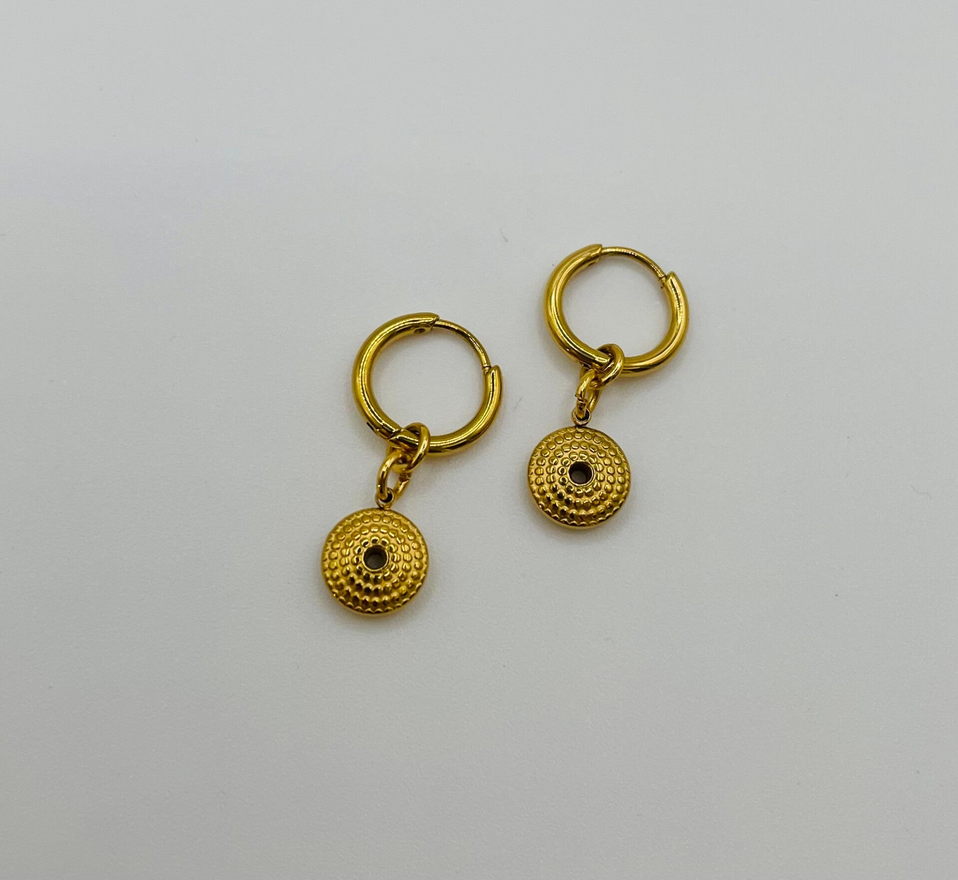 Oorbellen stainless steel 'Naomi'