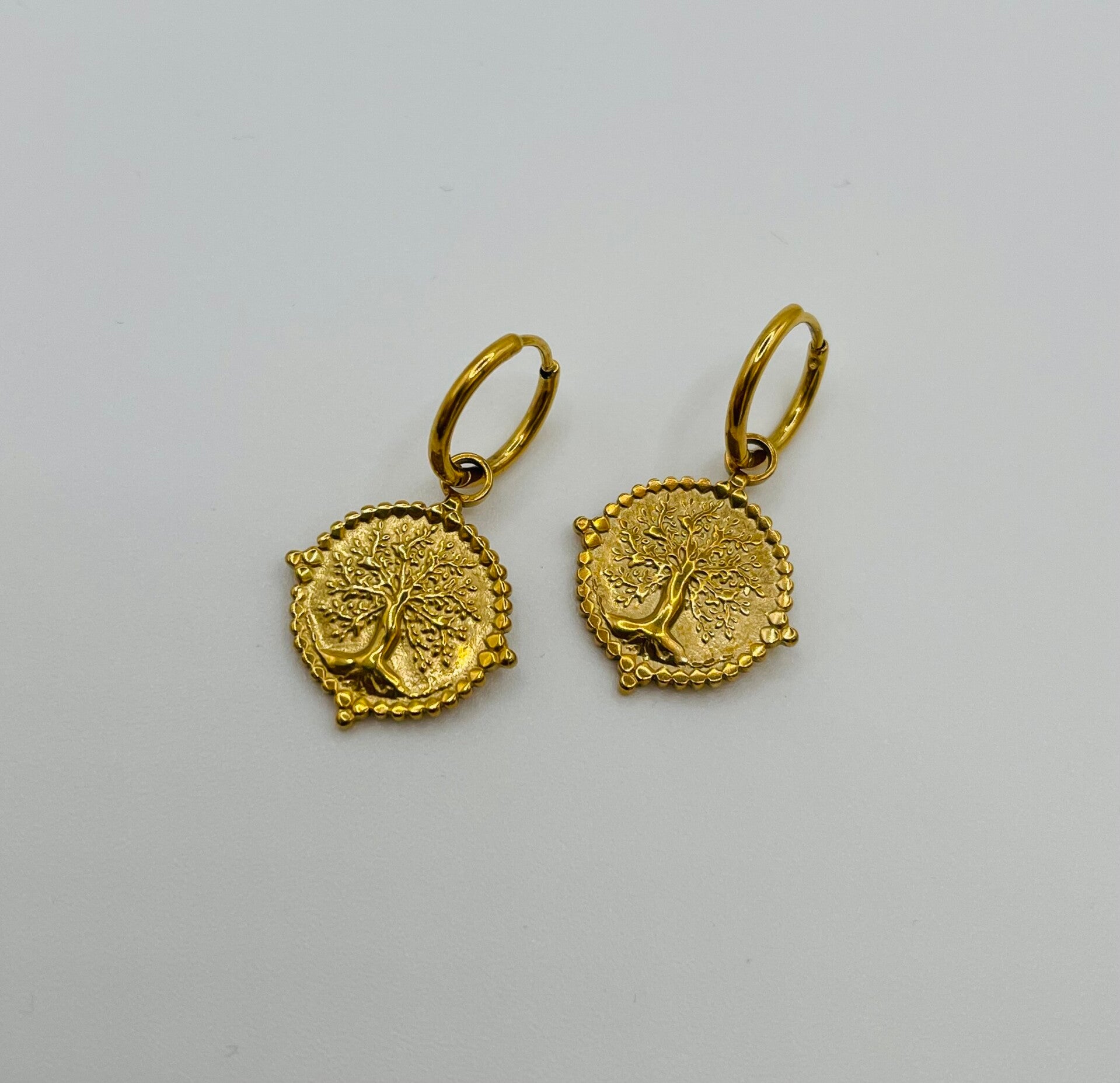 Oorbellen stainless steel 'Nina'