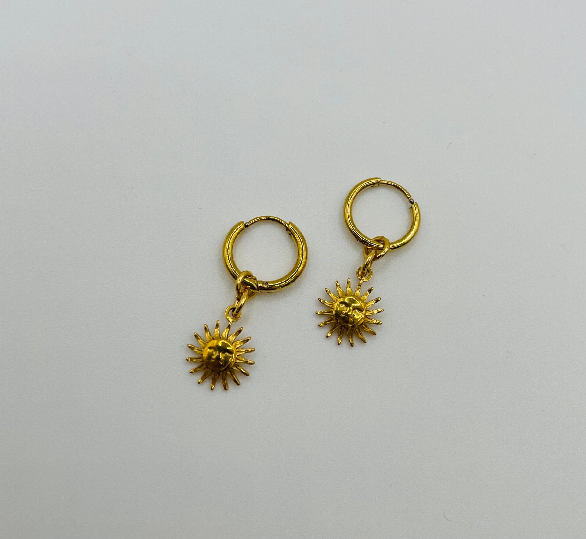 Oorbellen stainless steel 'Saartje'