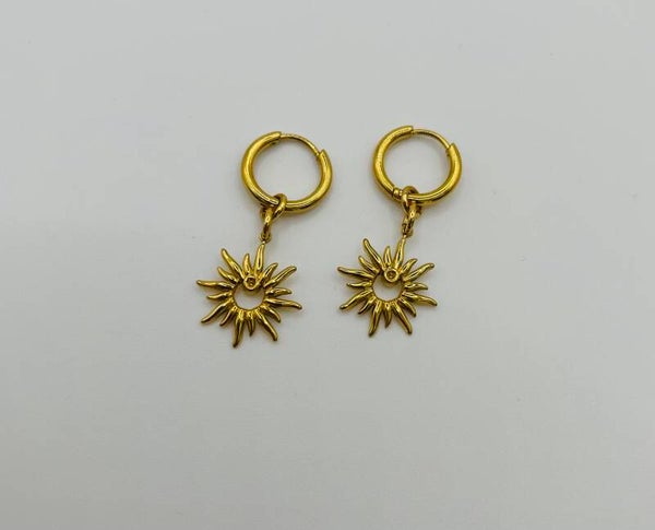 Oorbellen stainless steel 'Steef'