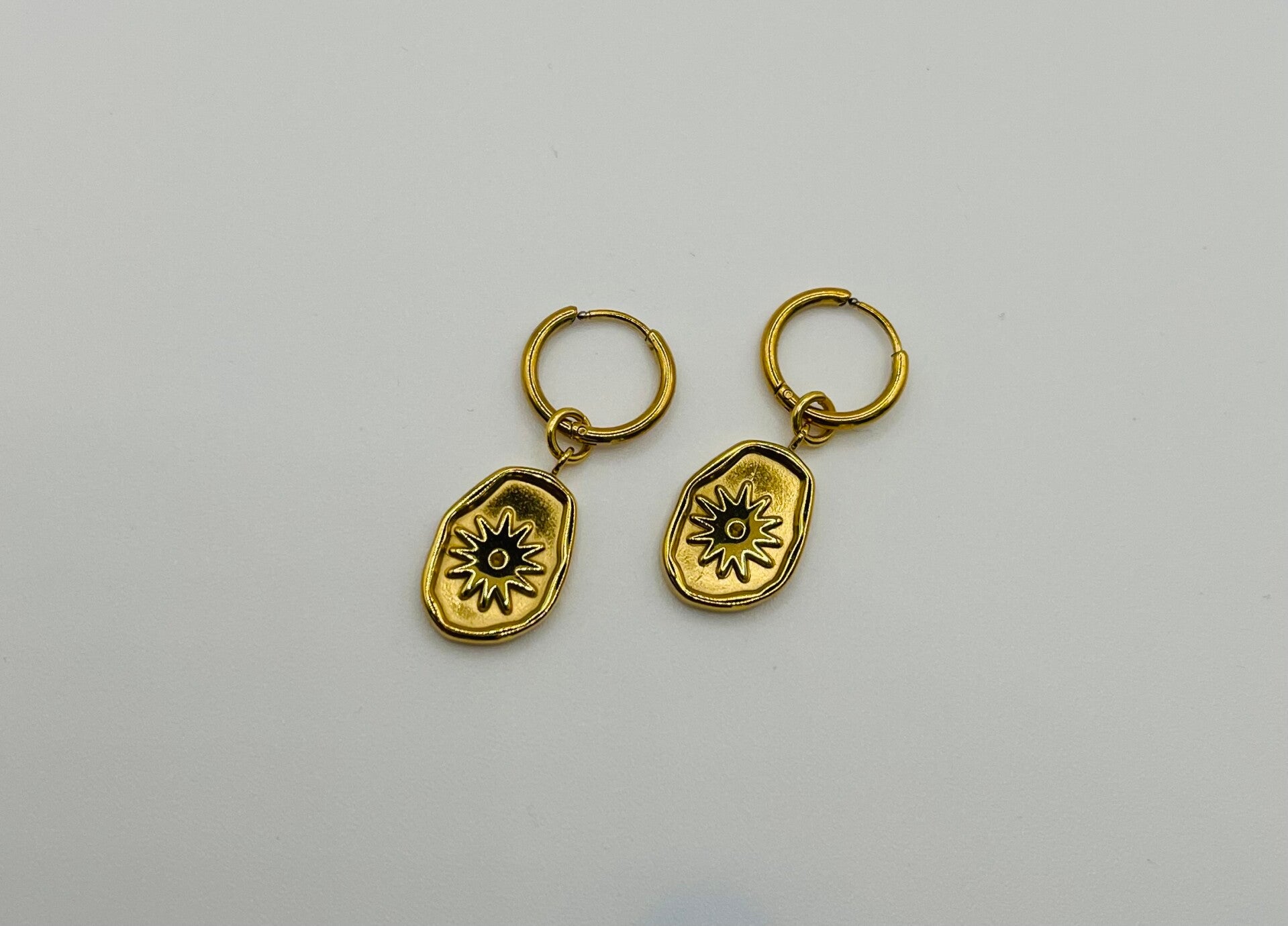 Oorbellen stainless steel 'Delaila'