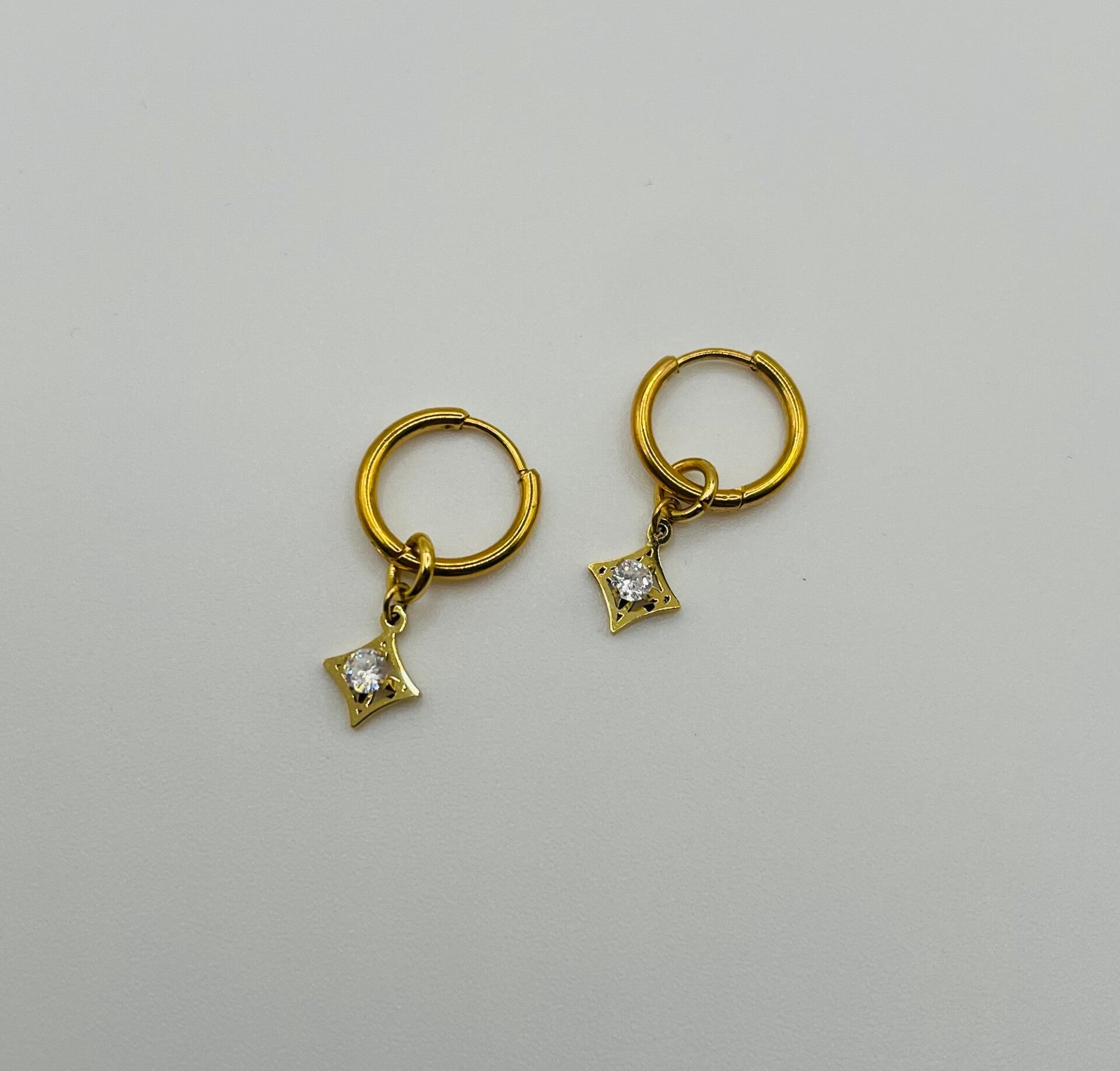 Oorbellen stainless steel ‘Elise’