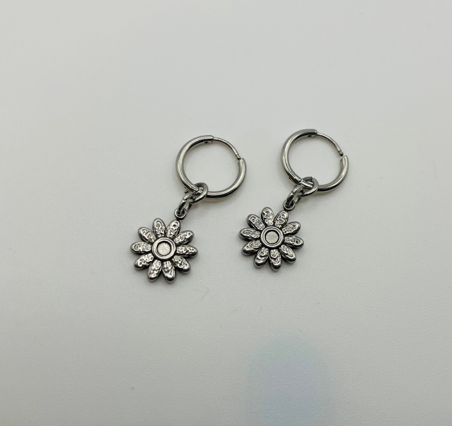 Oorbellen stainless steel zilverkleur 'Tooske'