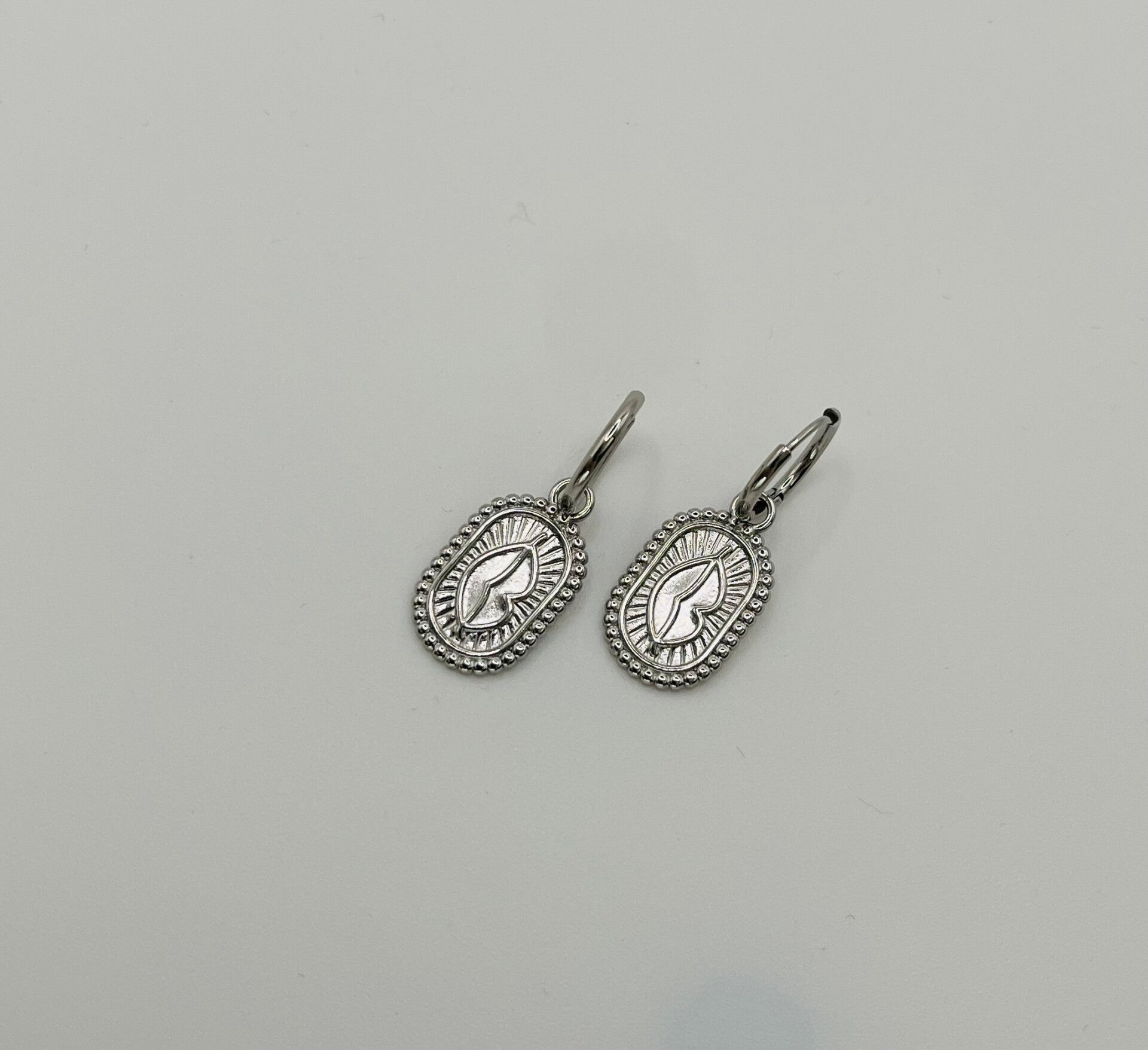 Oorbellen stainless steel zilverkleur ‘Kimberly’