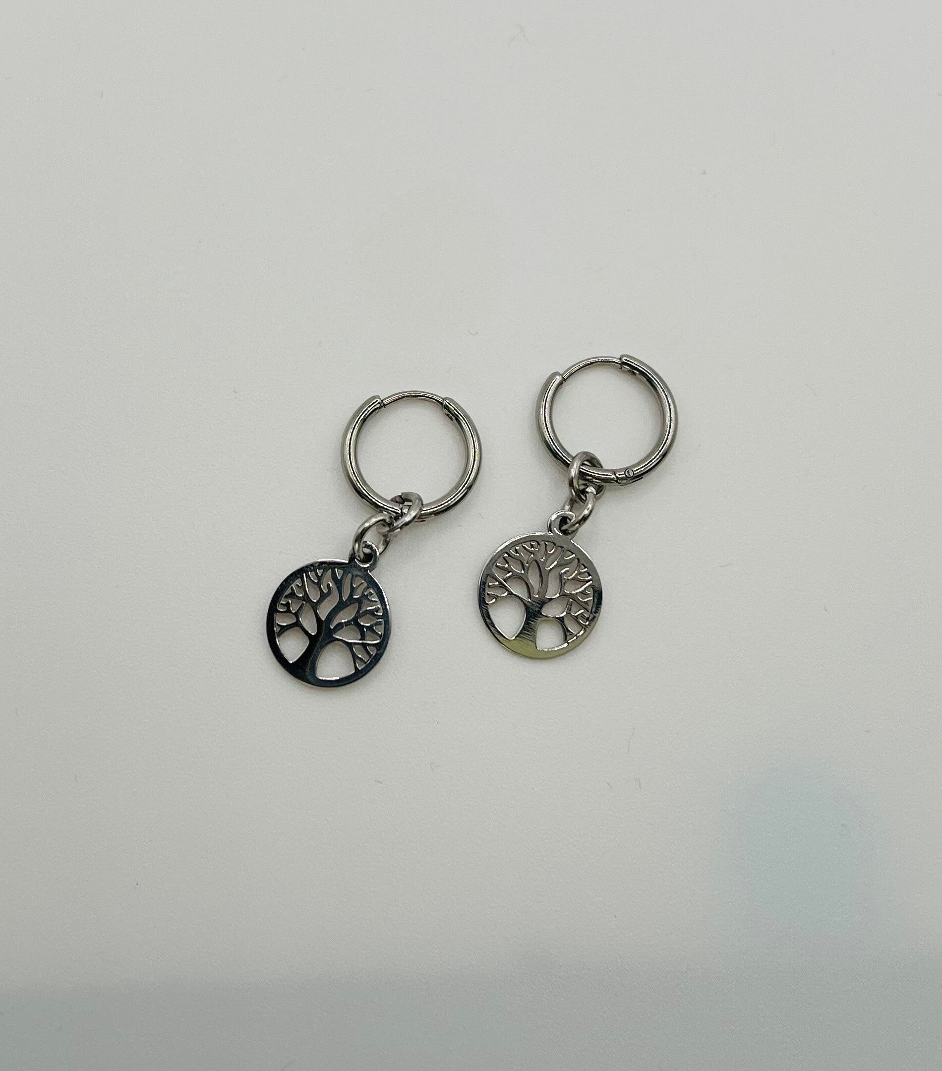 Oorbellen stainless steel zilverkleur ‘Nala’