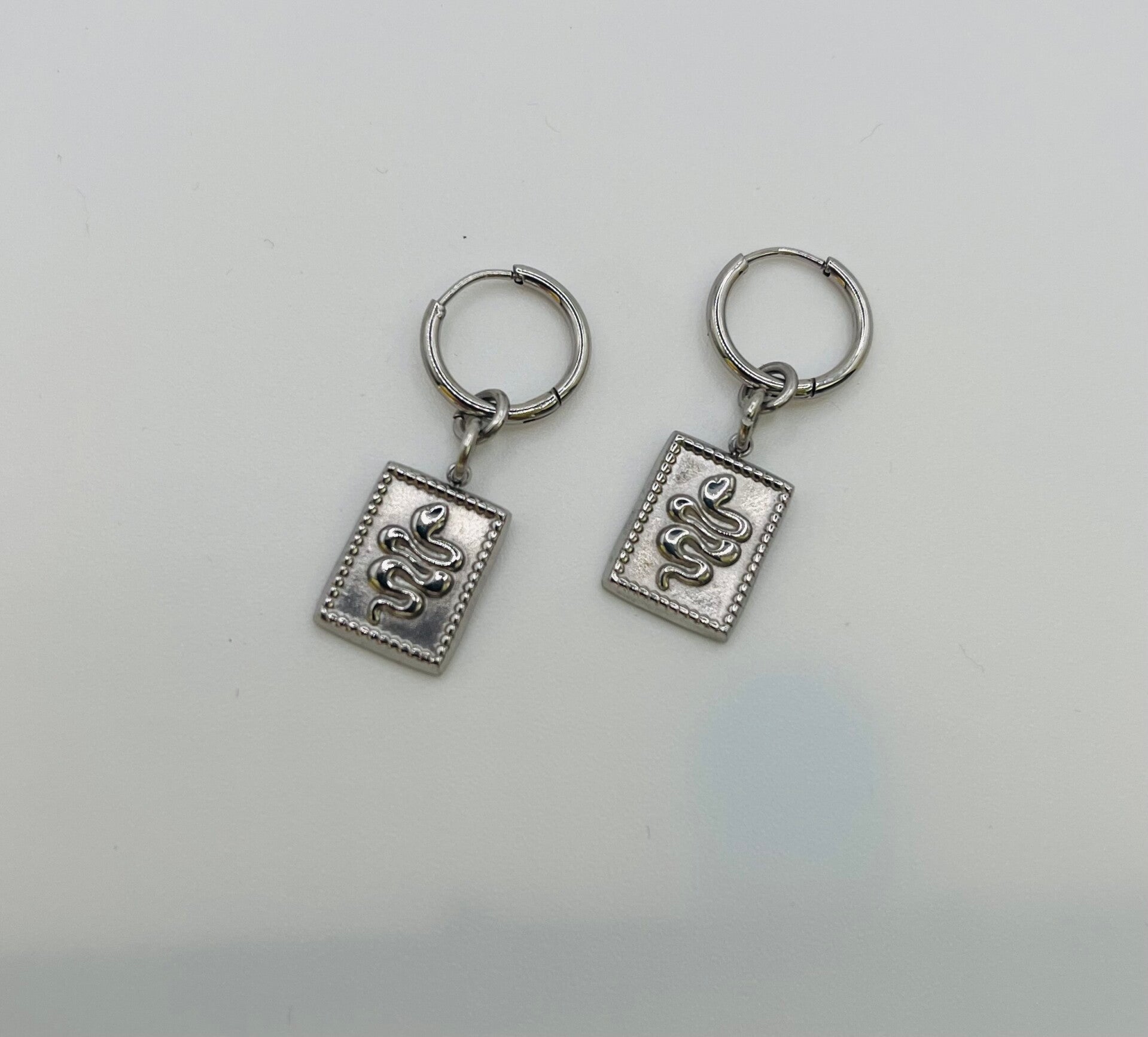 Oorbellen stainless steel zilverkleur ‘Fran’