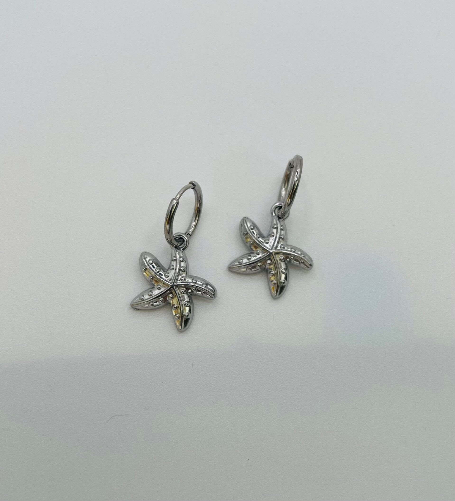 Oorbellen stainless steel zilverkleur ‘Janne’