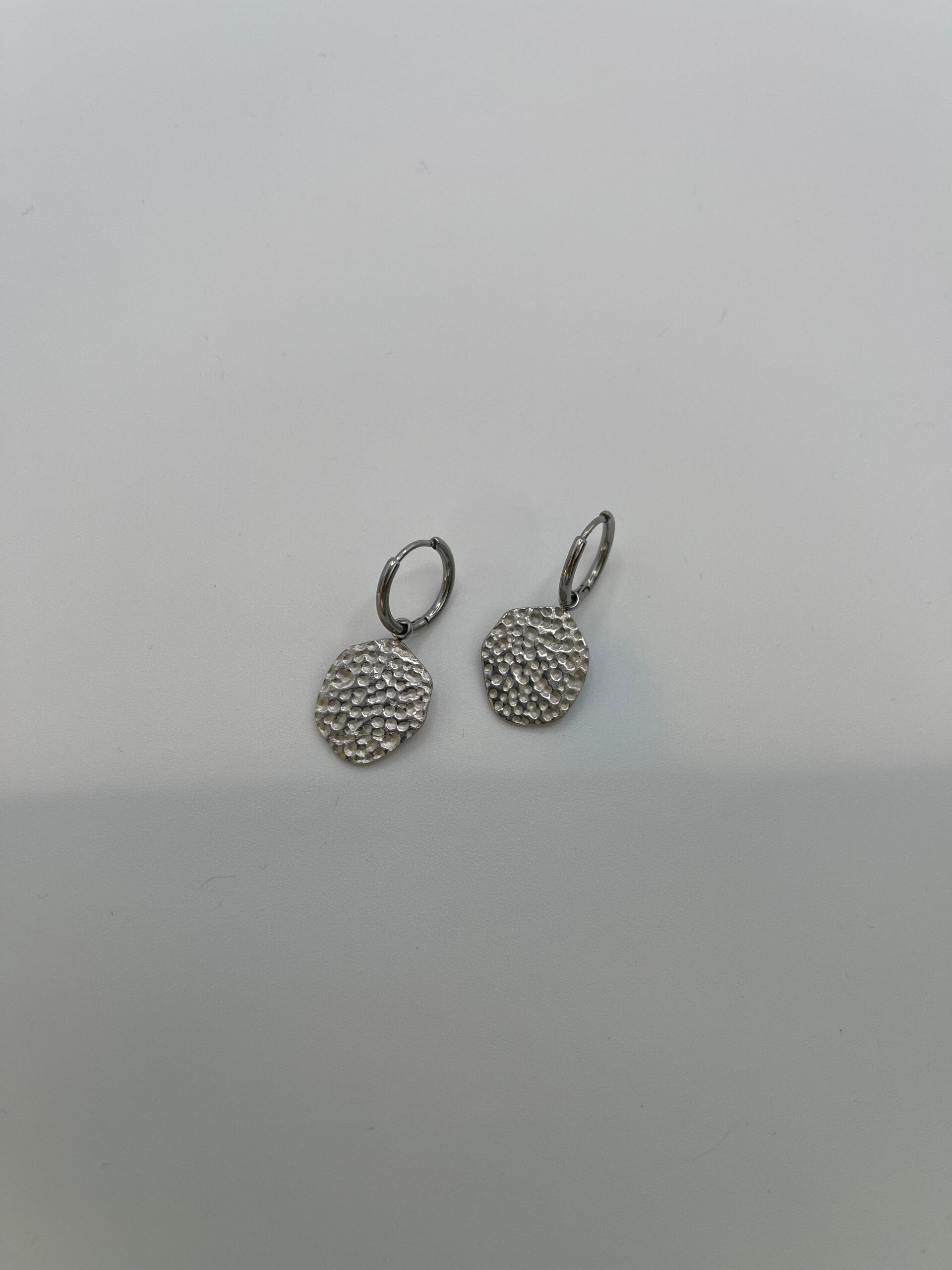 Oorbellen stainless steel zilverkleur ‘Anna’