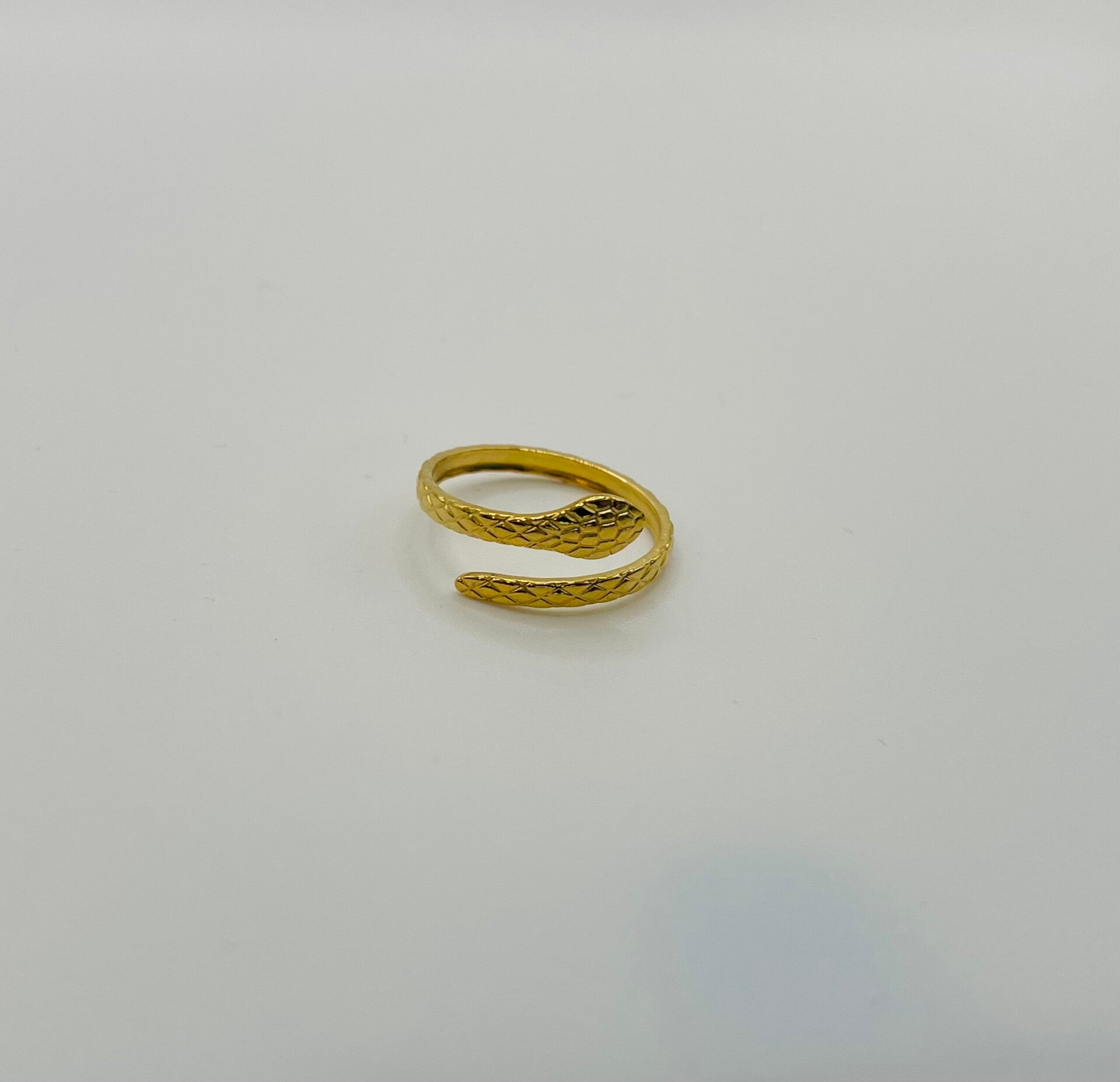 Ring stainless steel 'Snake'