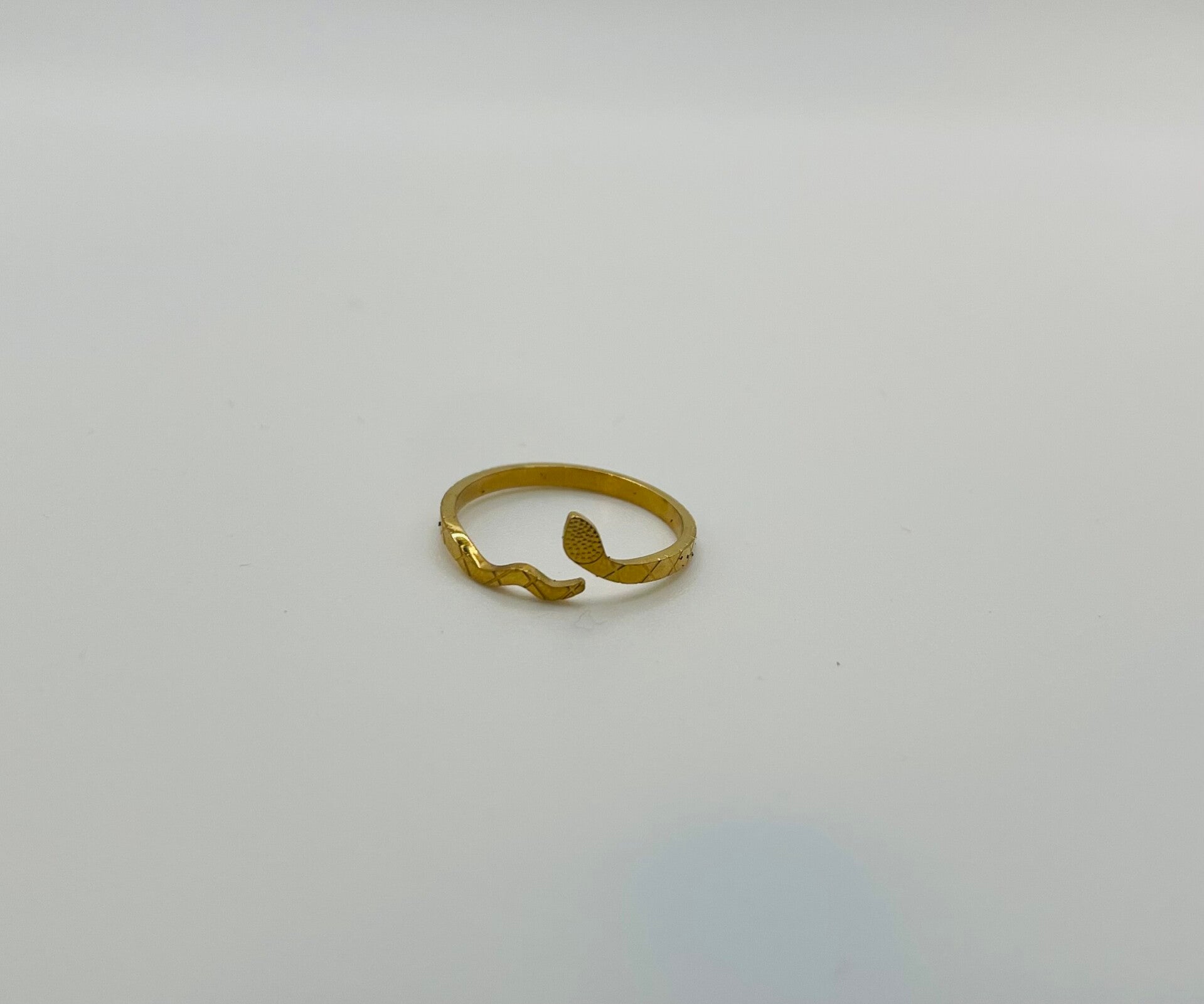 Ring stainless steel ‘Snake thin’