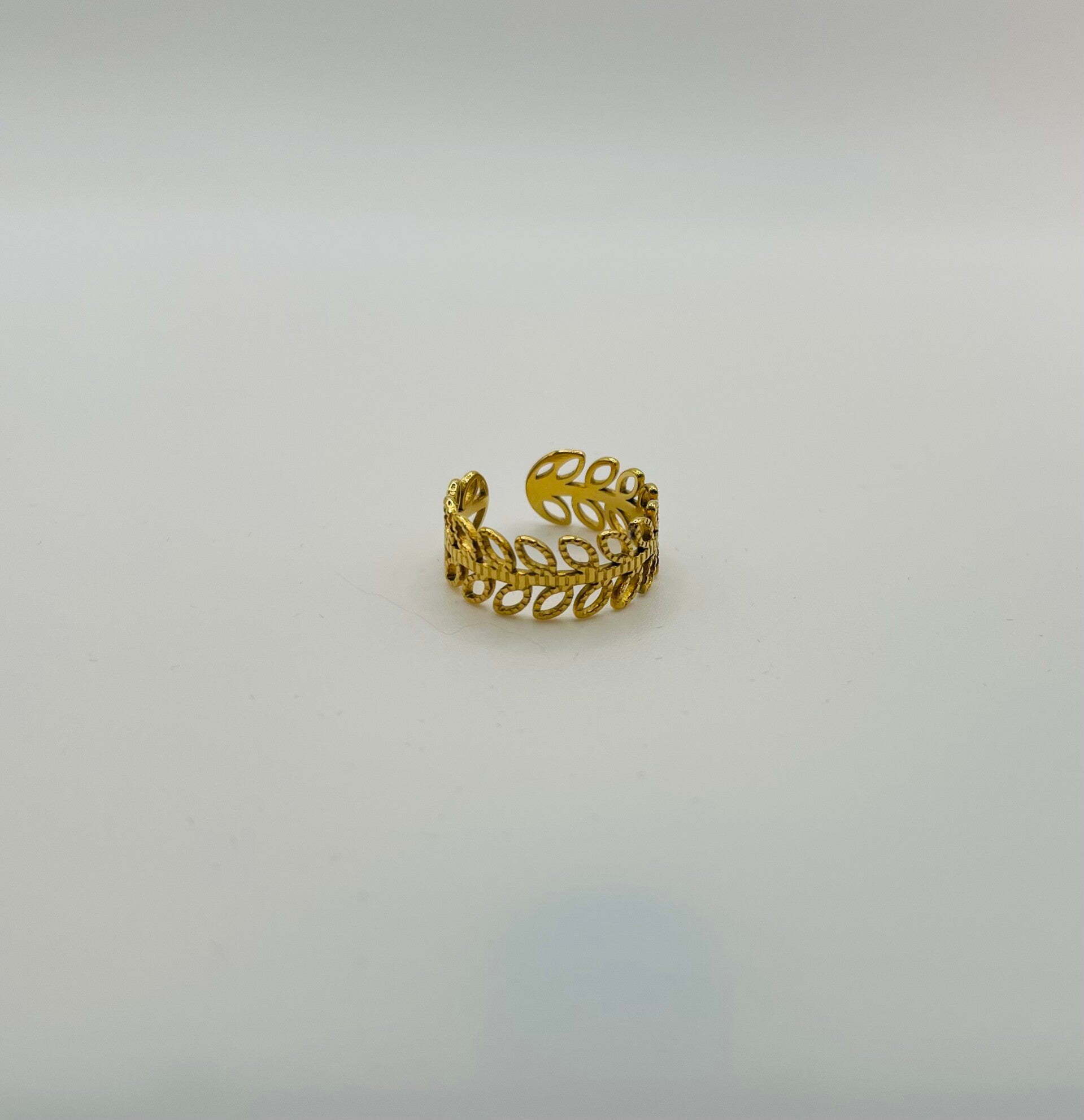 Ring stainless steel 'Vajen'