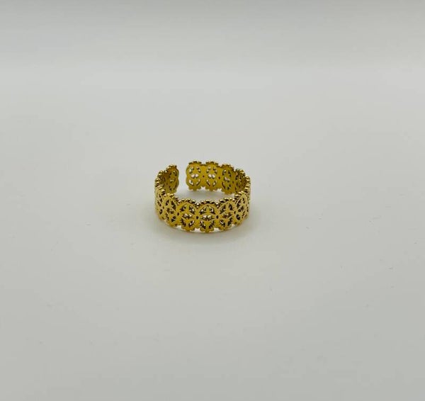 Ring stainless steel 'Lee'