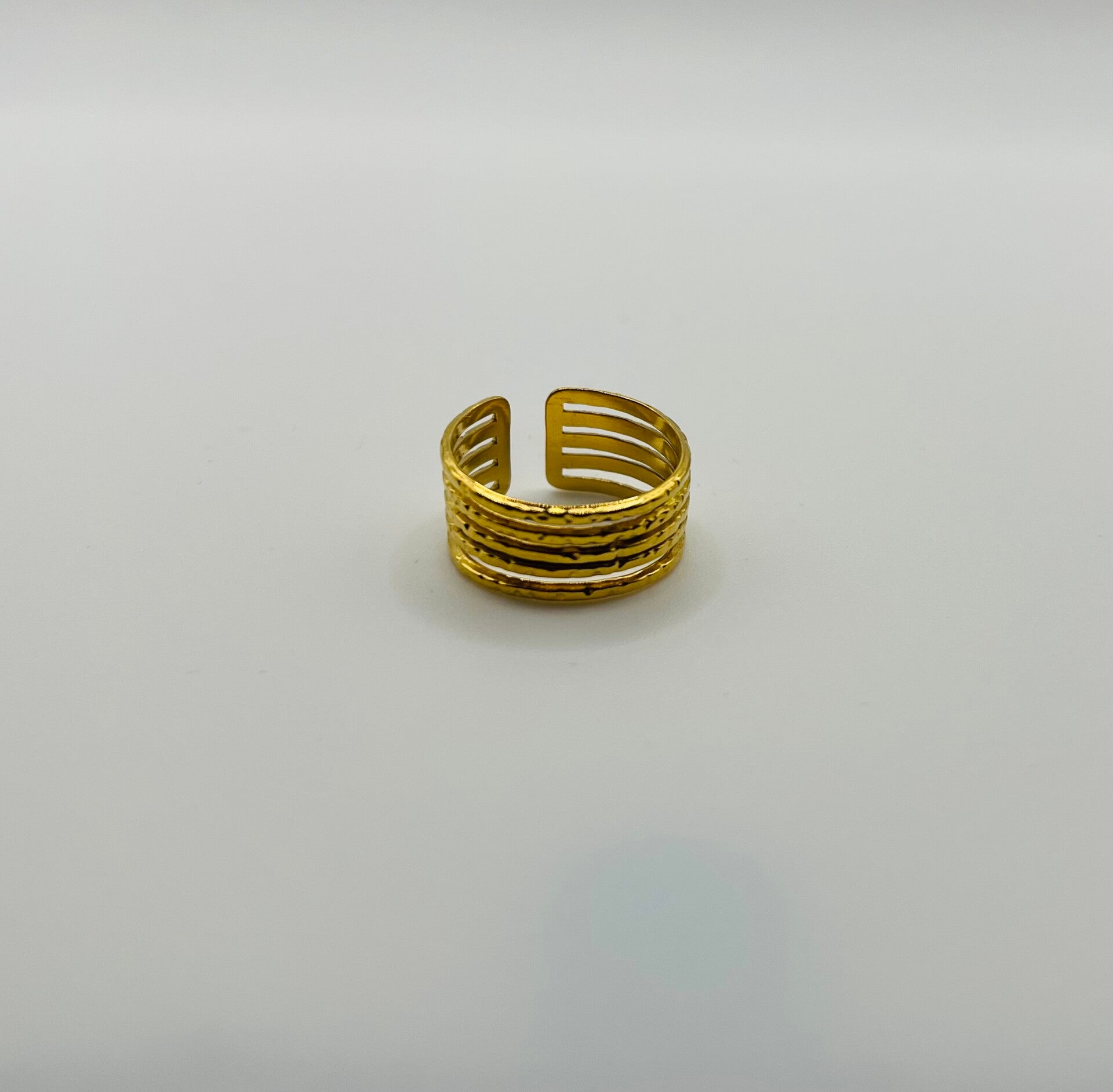 Ring stainless steel ‘Dana’