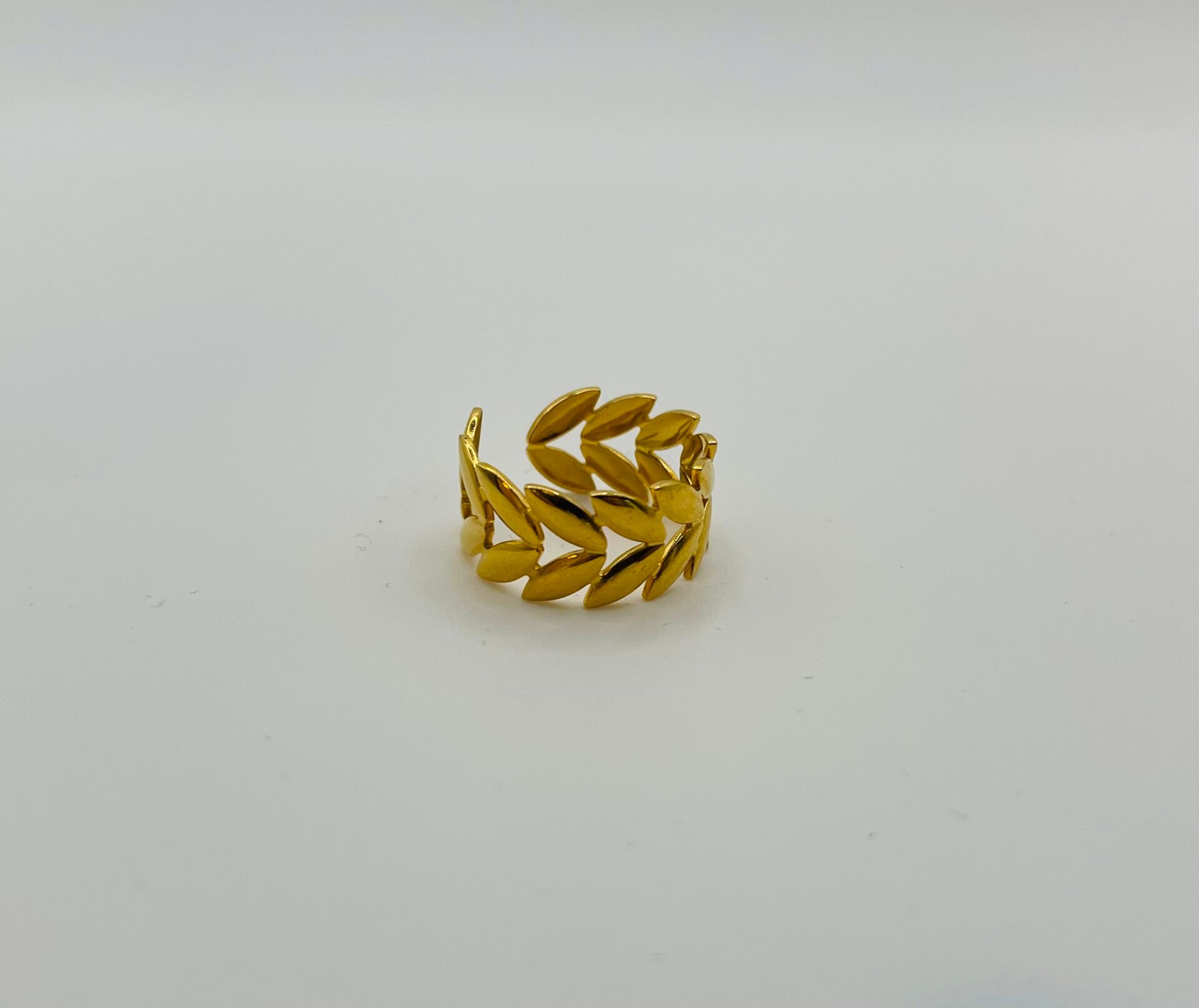 Ring stainless steel ‘Meriam’