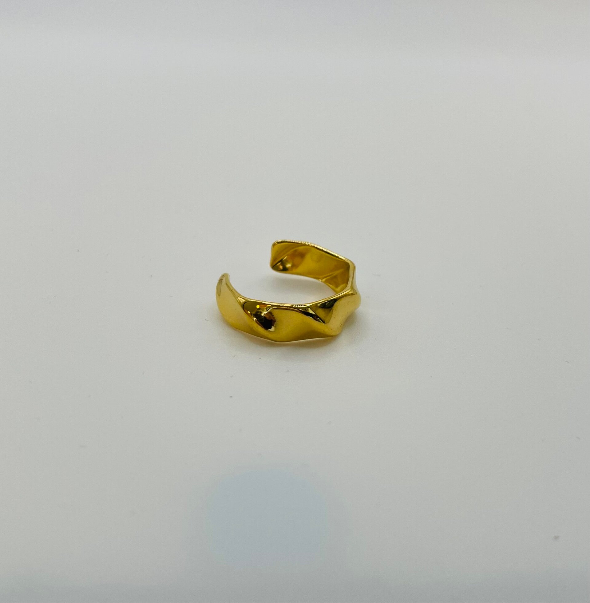 Ring stainless steel ‘Willie’