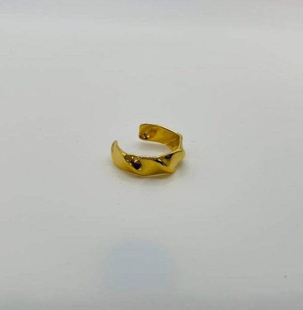 Ring stainless steel ‘Willie’