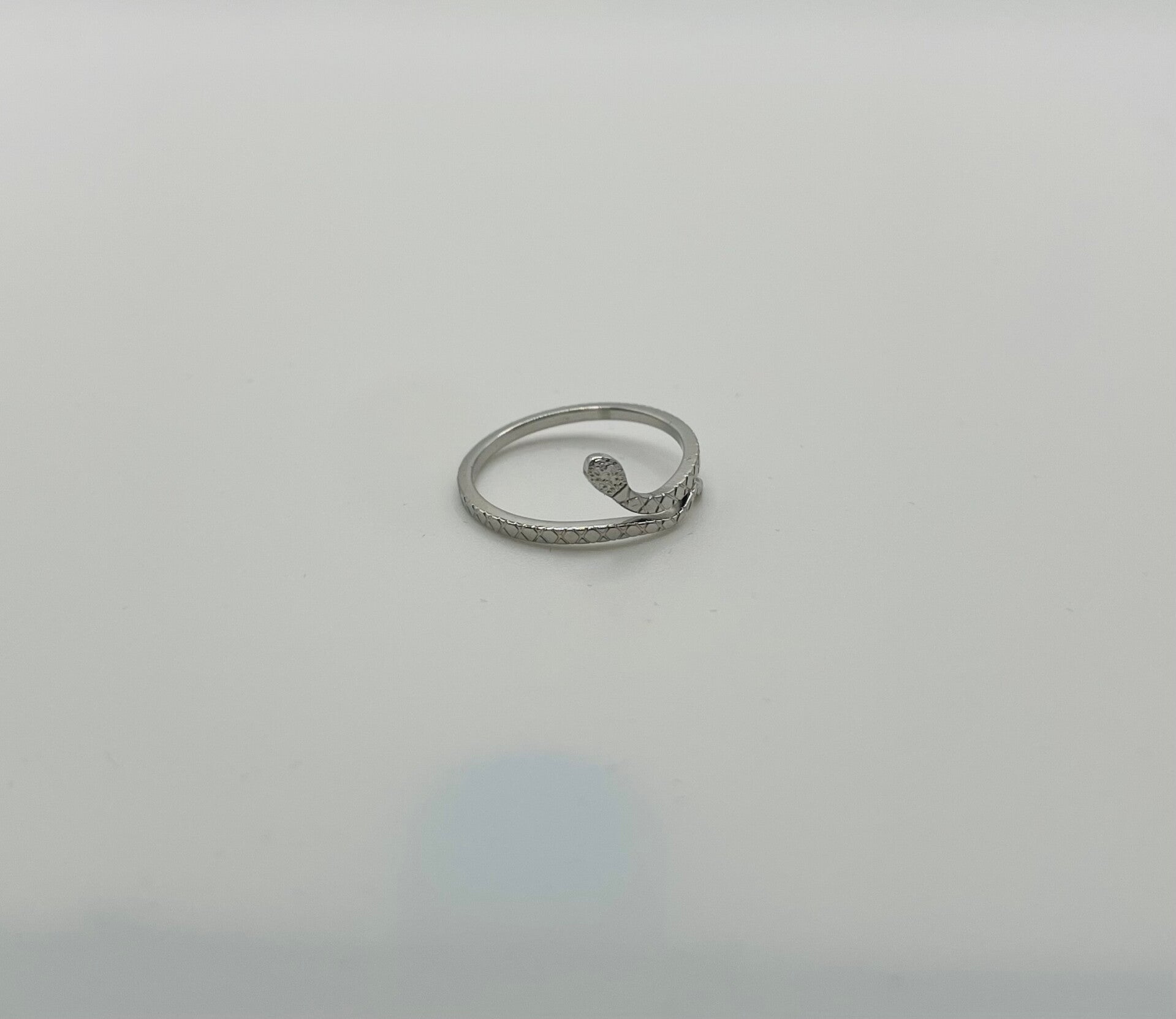 Ring stainless steel zilverkleur ‘Snake thin’