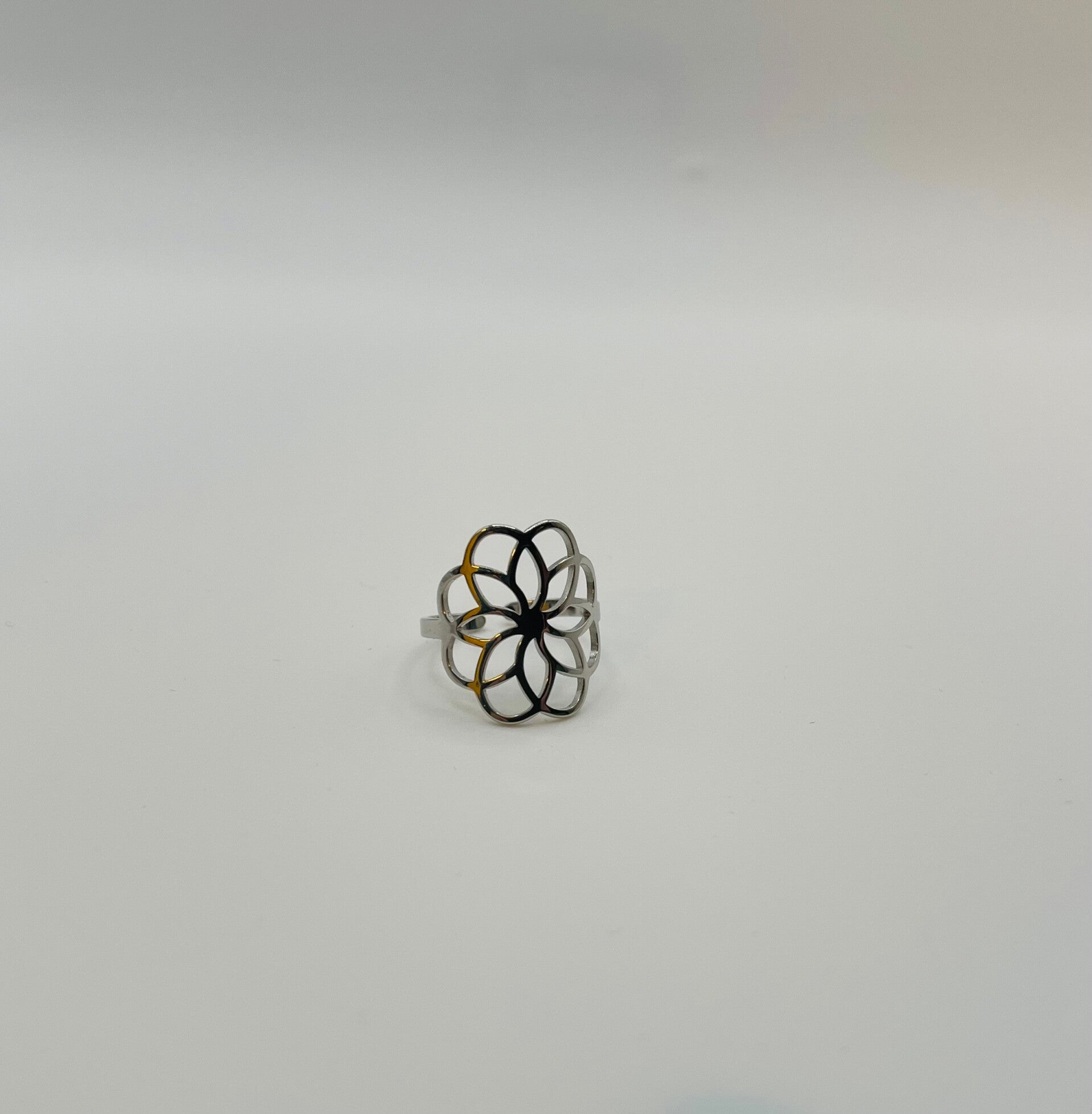 Ring stainless steel zilverkleur ‘Jara’