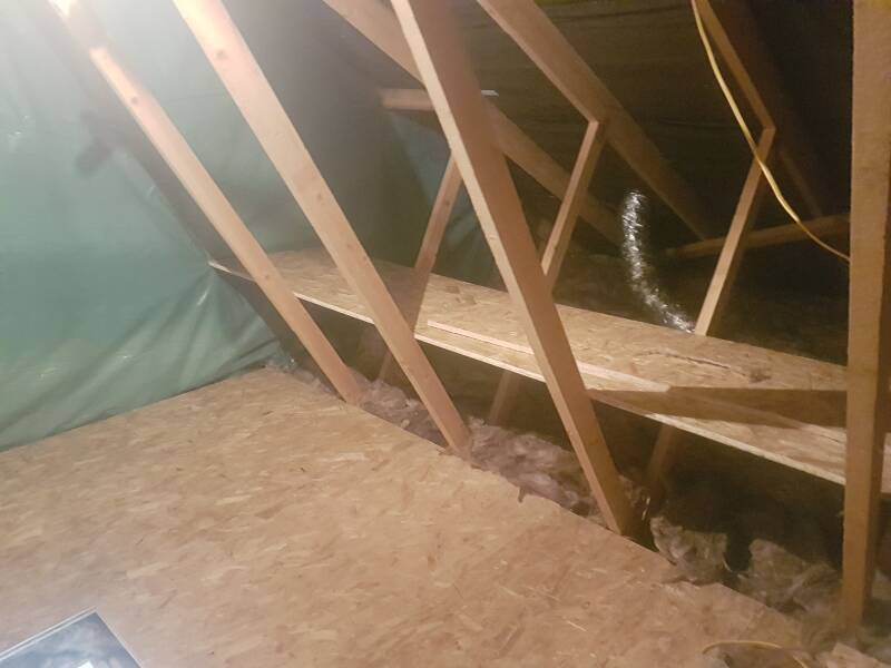 20190711_123144-standard.jpg