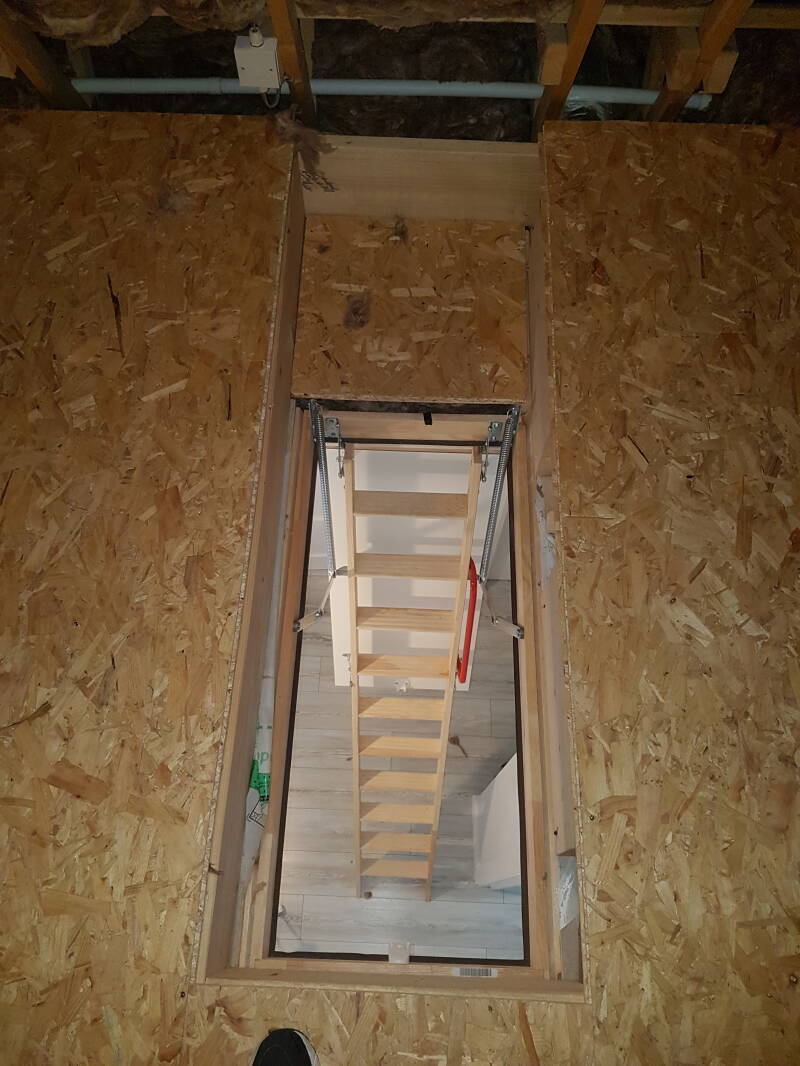 20190824_144926-standard.jpg