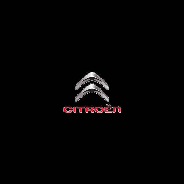 Citroen Car Spray Paint