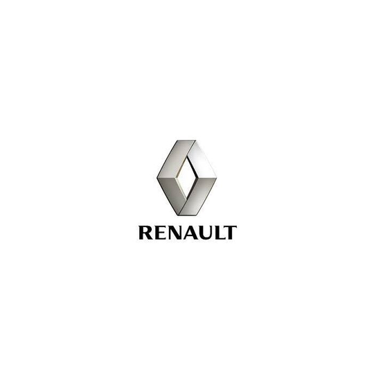 Renault Car Spray Paint