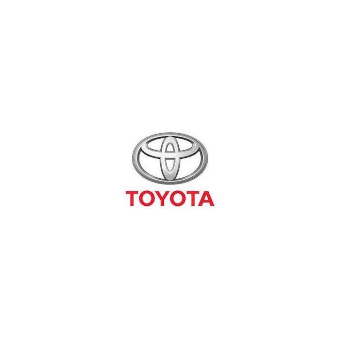 Toyota Car Spray Paint