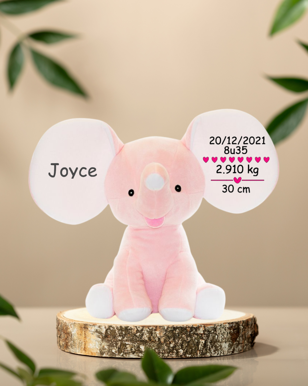 Knuffel Olifant Geboorte