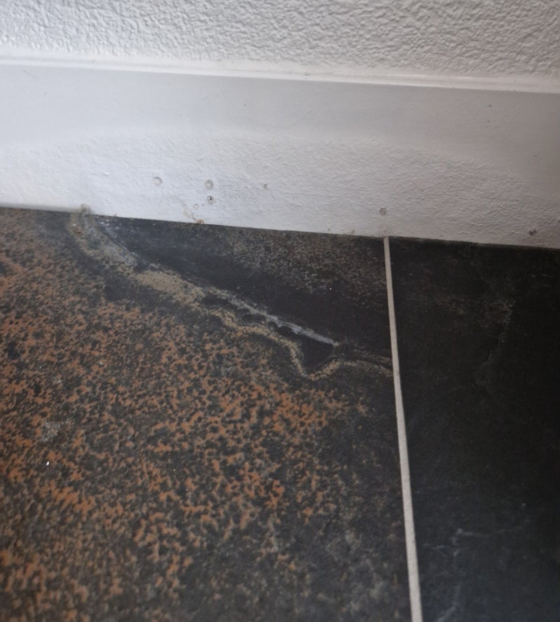 Lekdetectie met meetapparatuur ter plaatse