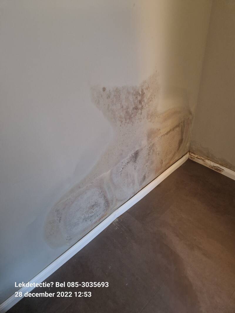 vochtplek muur