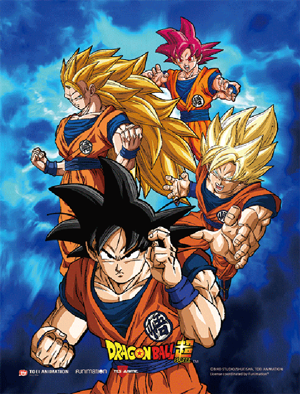 Dragon Ball Super 3D Lenticular Wall Art Poster Framed 9x12