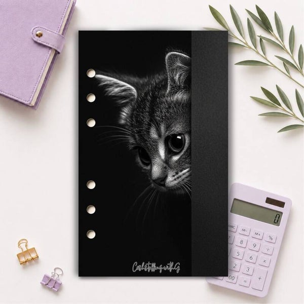 Copertina b&w - gattino