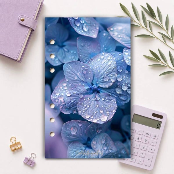 Copertina collezione rugiada n8