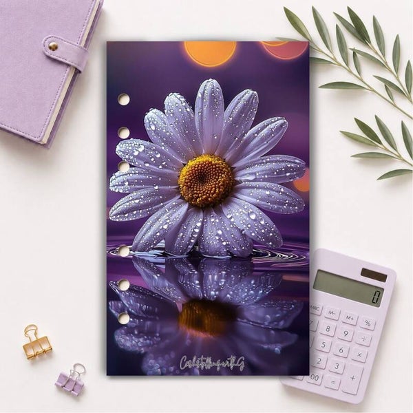 Copertina collezione rugiada n5