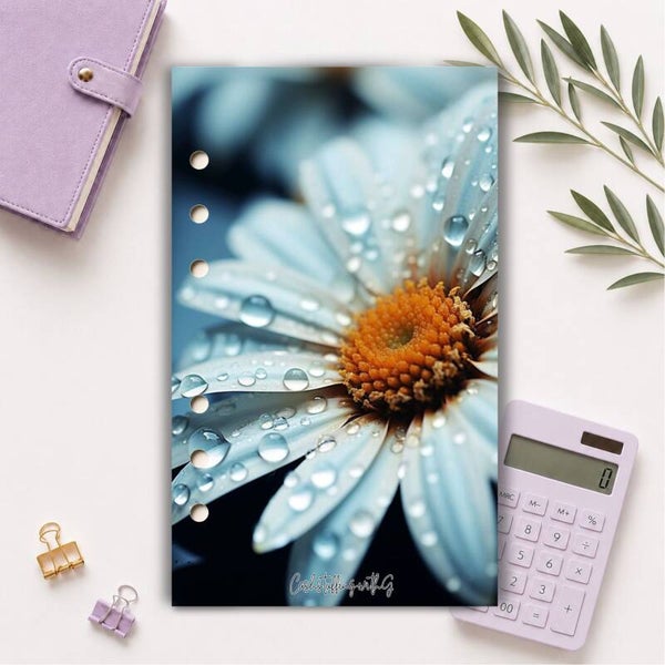 Copertina collezione rugiada n1