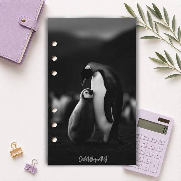 Copertina b&w - pinguini