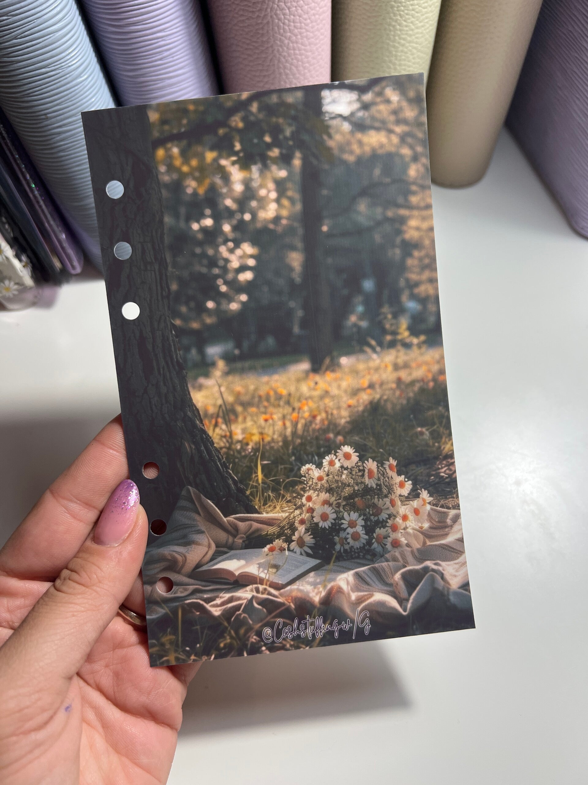 Copertina pic nic di settembre
