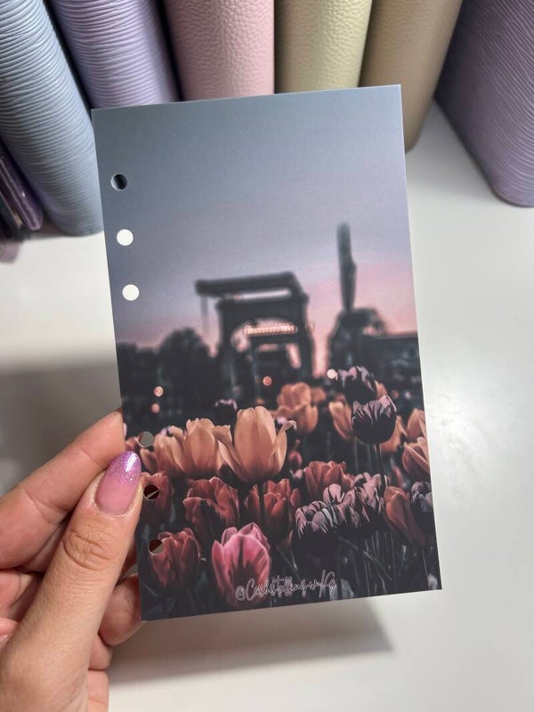 Copertina tulipani autunnali