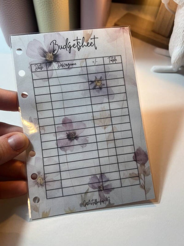 Budgetsheet violette