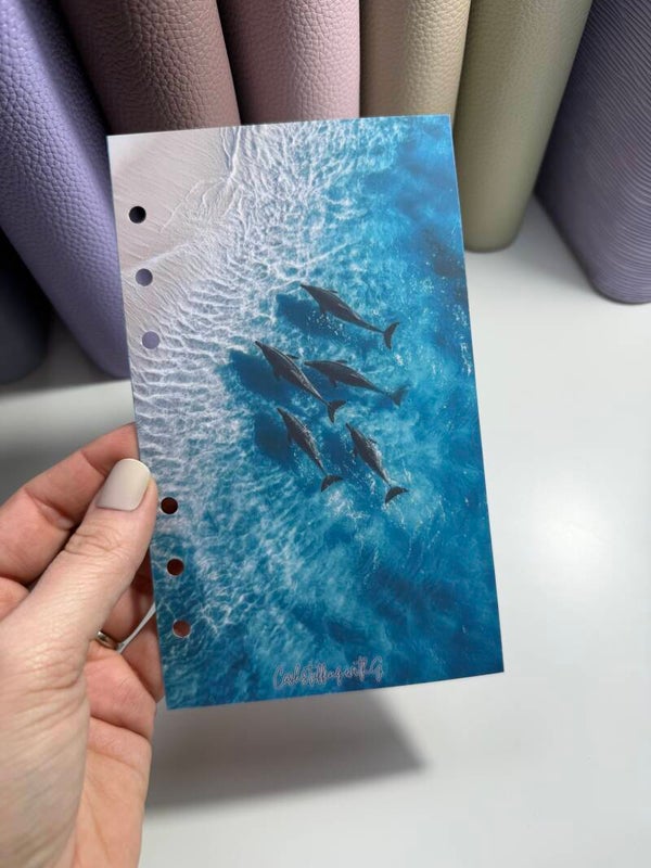 Copertina marea - delfini