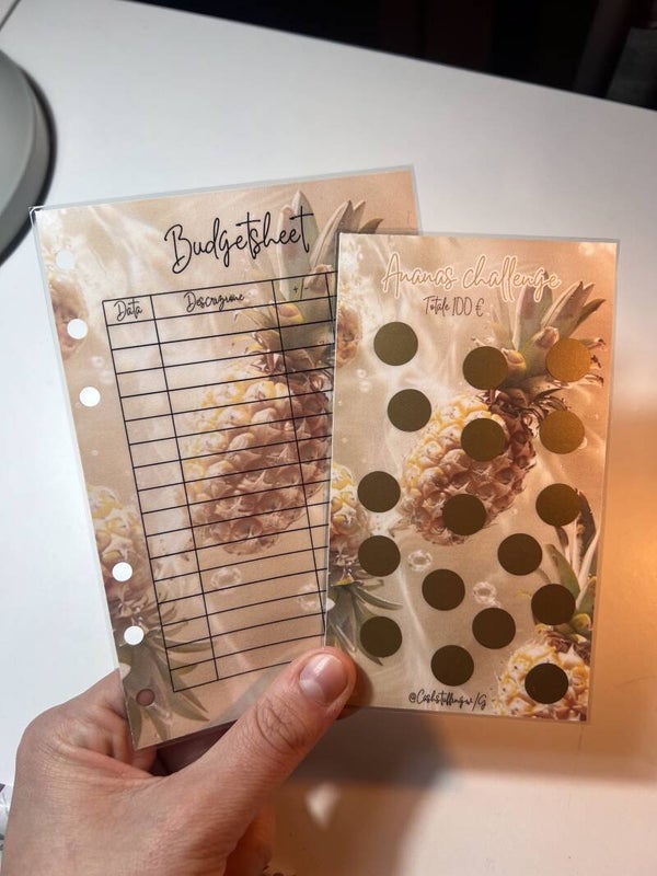 Budgetsheet ananas