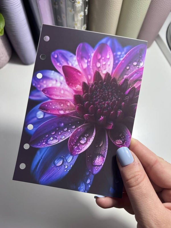 Copertina collezione rugiada n 10