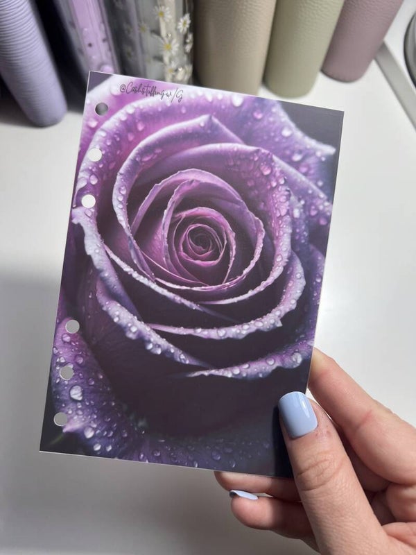 Copertina collezione ruigiada n9