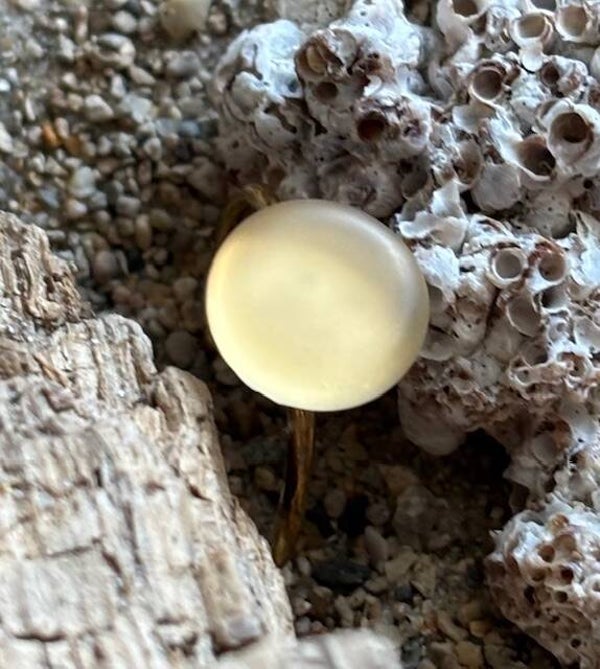 Goud kleurige ring met wit zeeglas (62)