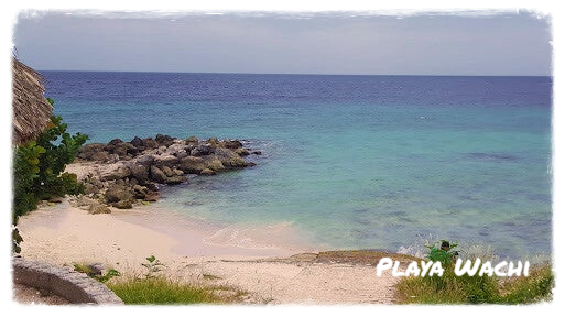 Eco Resort De Octopus Tropical Oasis Boka St. Michiel Playa Wachi