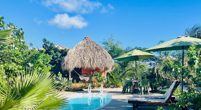 De Octopus Tropical Oasis Eco apartments Curaçao Boka St Michiel Near the Sea Pool Area