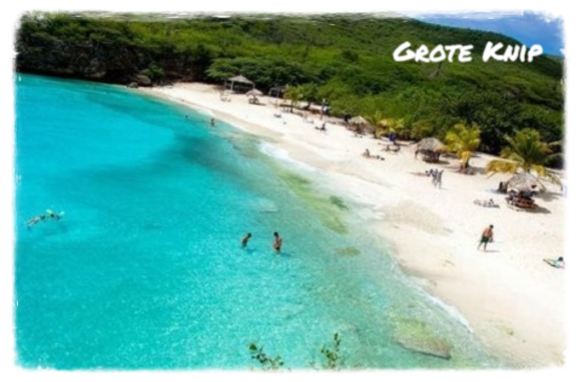 Eco Resort De Octopus Tropical Oasis Boka St. Michiel Grote KnipCuraçao